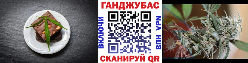 сколько стоит Жуковка omg Cannafood марихуана