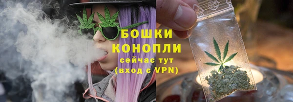 бошки Алексин
