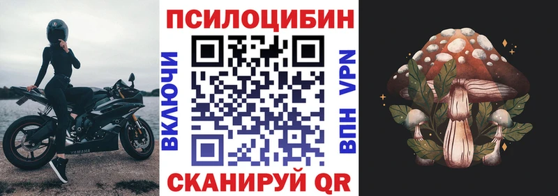 цены наркотик  KRAKEN зеркало  Псилоцибиновые грибы прущие грибы  Жуковка 